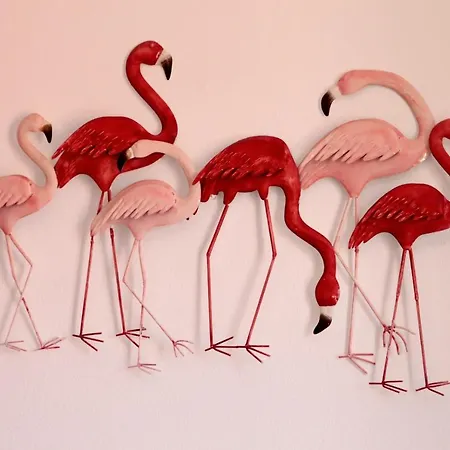 Flamingo's House Appartamento
